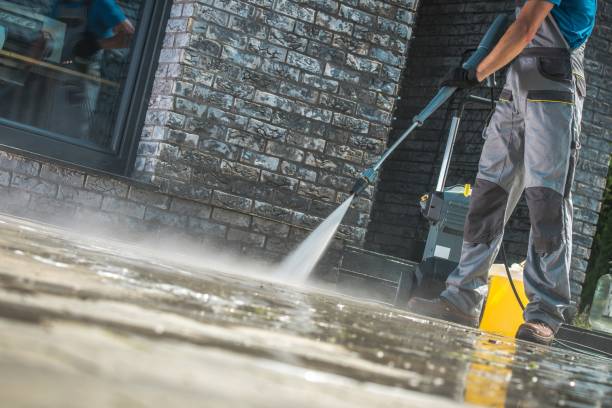 Best Roof Washing  in Sand Lake, MI